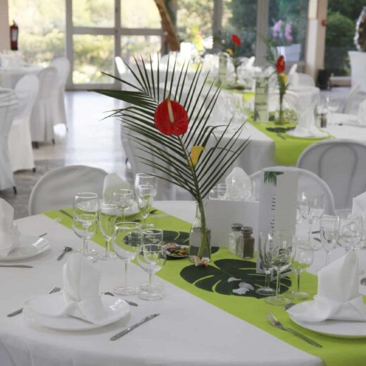 Organisez vos Événements Professionnels au Domaine des Chênes Verts dans le Var